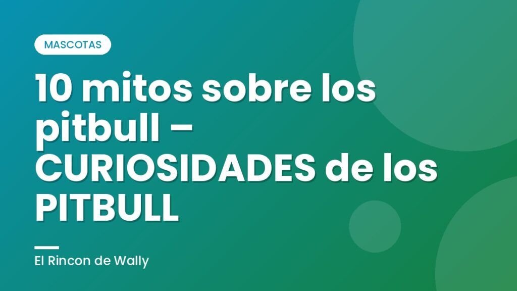 10 mitos sobre los pitbull – CURIOSIDADES de los PITBULL