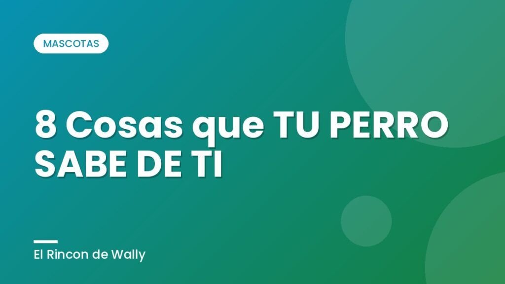 8 Cosas que TU PERRO SABE DE TI