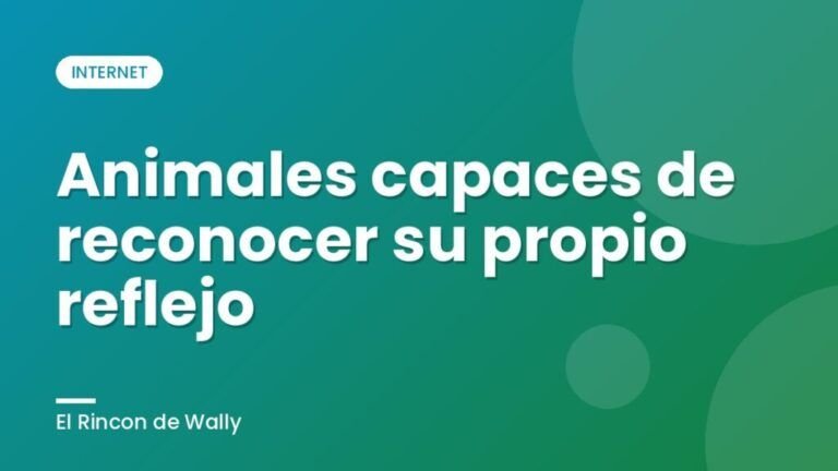 Animales capaces de reconocer su propio reflejo