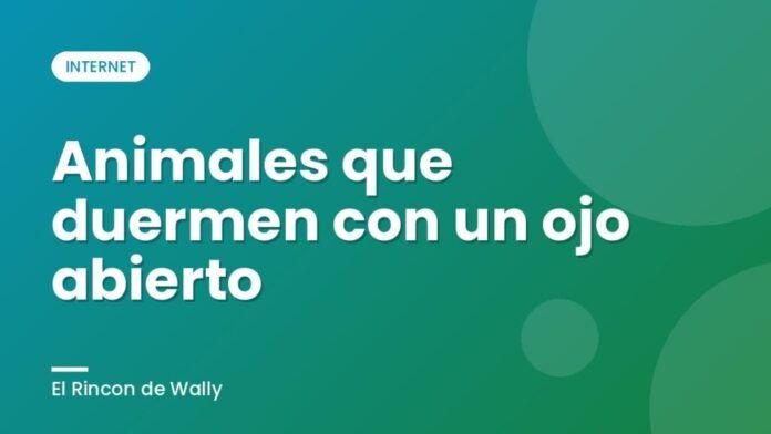Animales que duermen con un ojo abierto Animales que duermen con un ojo abierto