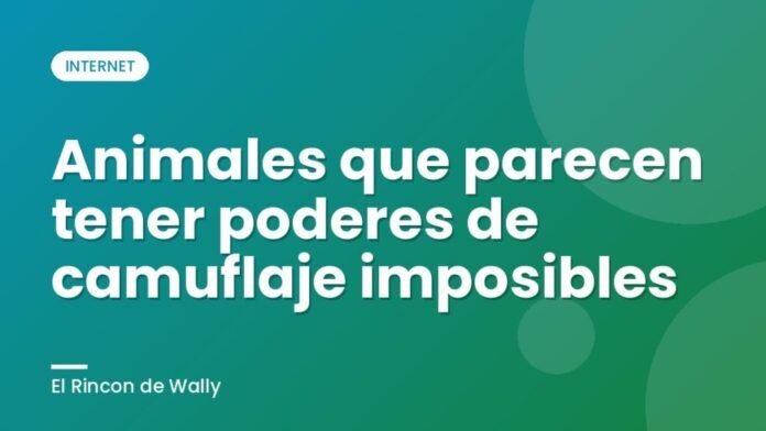 Animales que parecen tener poderes de camuflaje imposibles