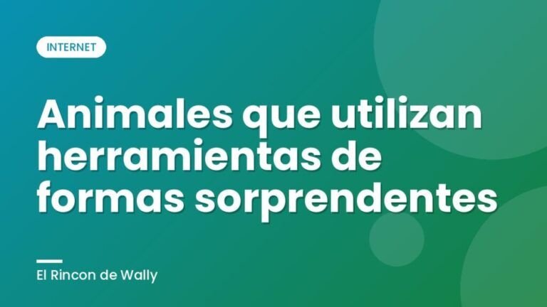 Animales que utilizan herramientas de formas sorprendentes