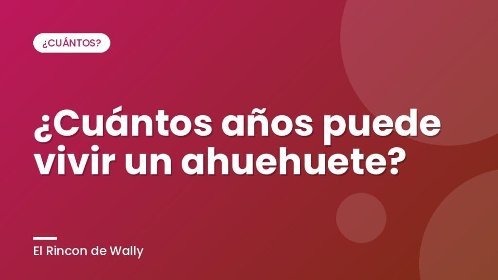 ¿Cuántos años puede vivir un ahuehuete?