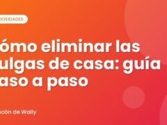 Cómo eliminar las pulgas de casa: guía paso a paso
