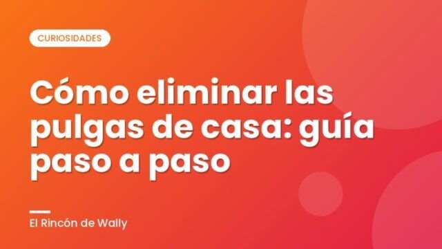 Cómo eliminar las pulgas de casa: guía paso a paso