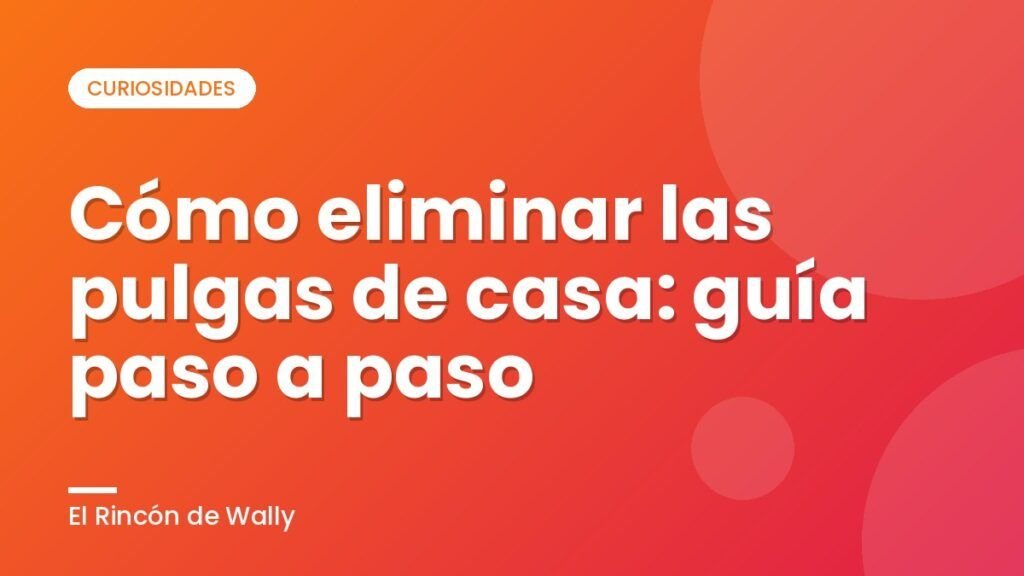Cómo eliminar las pulgas de casa: guía paso a paso Cómo eliminar las pulgas de casa: guía paso a paso