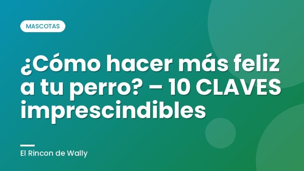 ¿Cómo hacer más feliz a tu perro? – 10 CLAVES imprescindibles