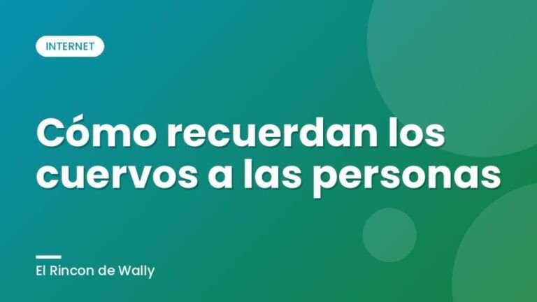 Cómo recuerdan los cuervos a las personas