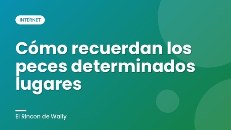 Cómo recuerdan los peces determinados lugares
