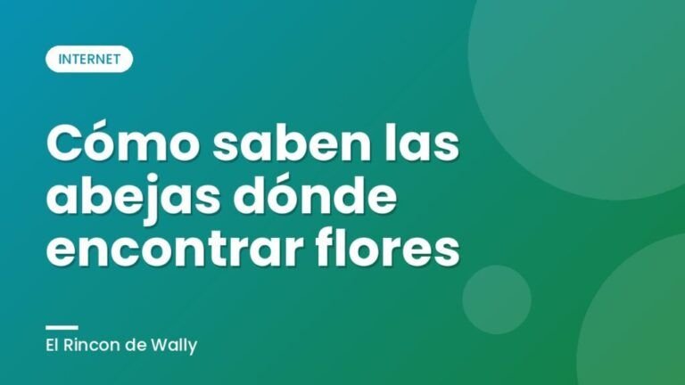 Cómo saben las abejas dónde encontrar flores