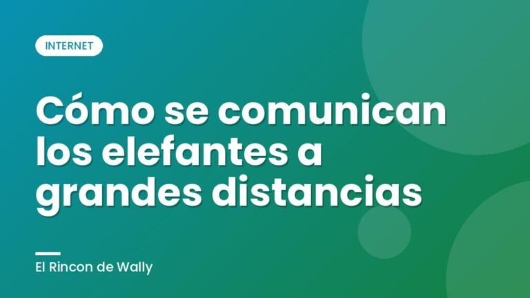 Cómo se comunican los elefantes a grandes distancias