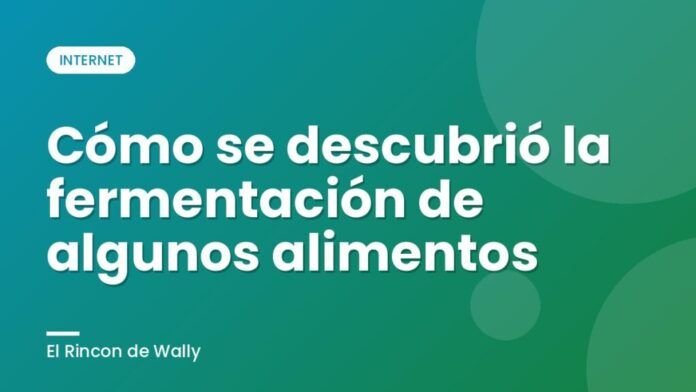 Cómo se descubrió la fermentación de algunos alimentos