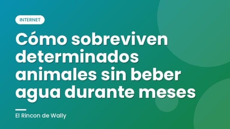 Cómo sobreviven determinados animales sin beber agua durante meses