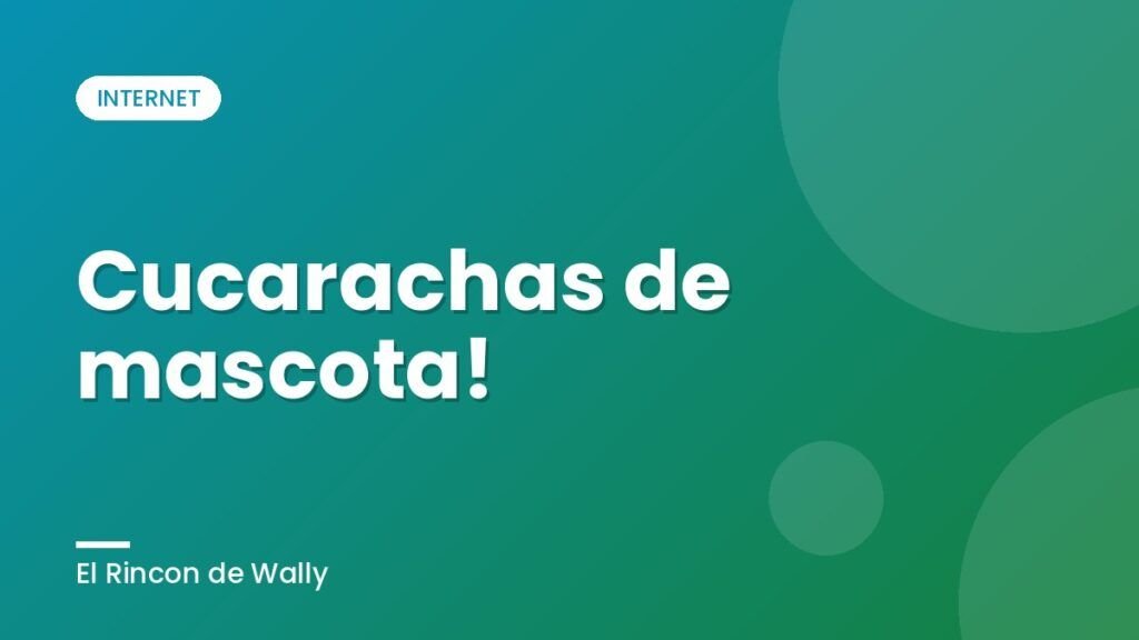 Cucarachas de mascota!