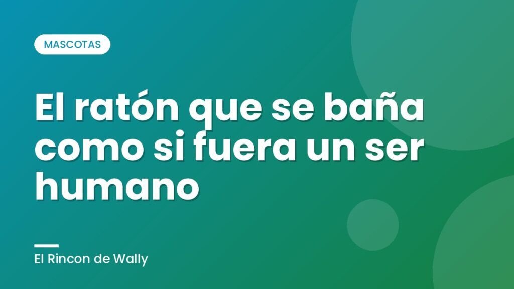 El ratón que se baña como si fuera un ser humano