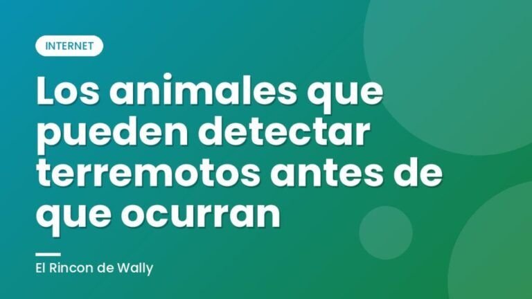 Los animales que pueden detectar terremotos antes de que ocurran
