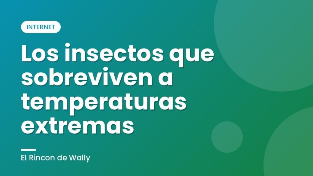 Los insectos que sobreviven a temperaturas extremas