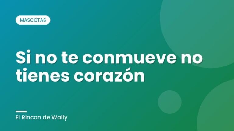 Si no te conmueve no tienes corazón