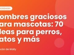 Nombres graciosos para mascotas: 70 ideas para perros, gatos y más