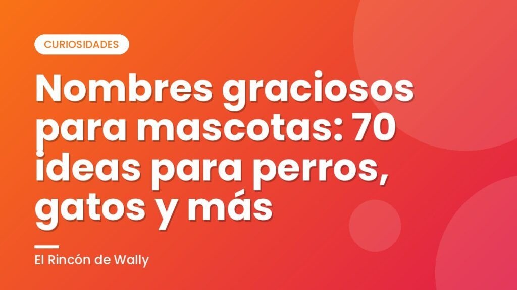Nombres graciosos para mascotas: 70 ideas para perros, gatos y más Nombres graciosos para mascotas: 70 ideas para perros, gatos y más