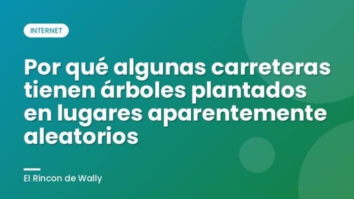 Por qué algunas carreteras tienen árboles plantados en lugares aparentemente aleatorios Por qué algunas carreteras tienen árboles plantados en lugares aparentemente aleatorios