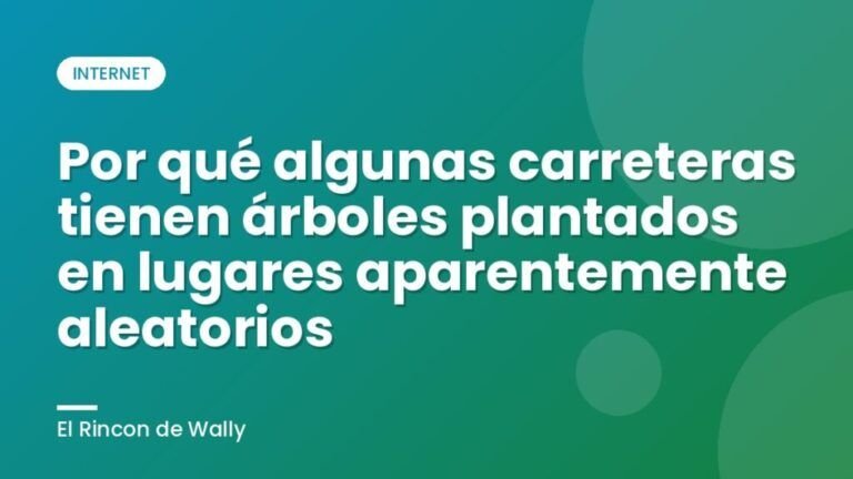 Por qué algunas carreteras tienen árboles plantados en lugares aparentemente aleatorios
