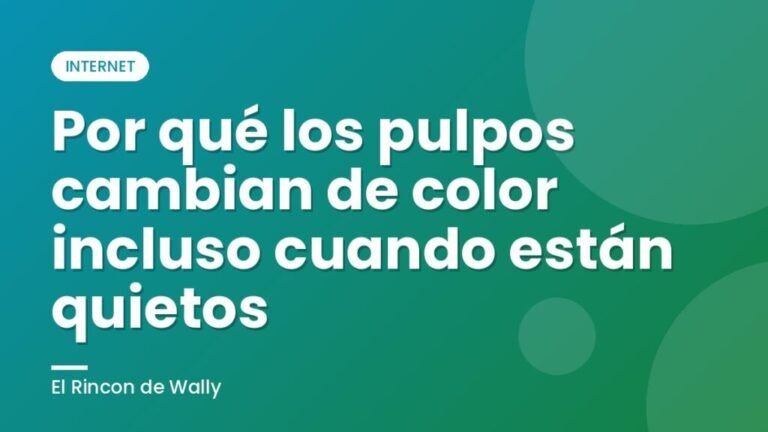 Por qué los pulpos cambian de color incluso cuando están quietos