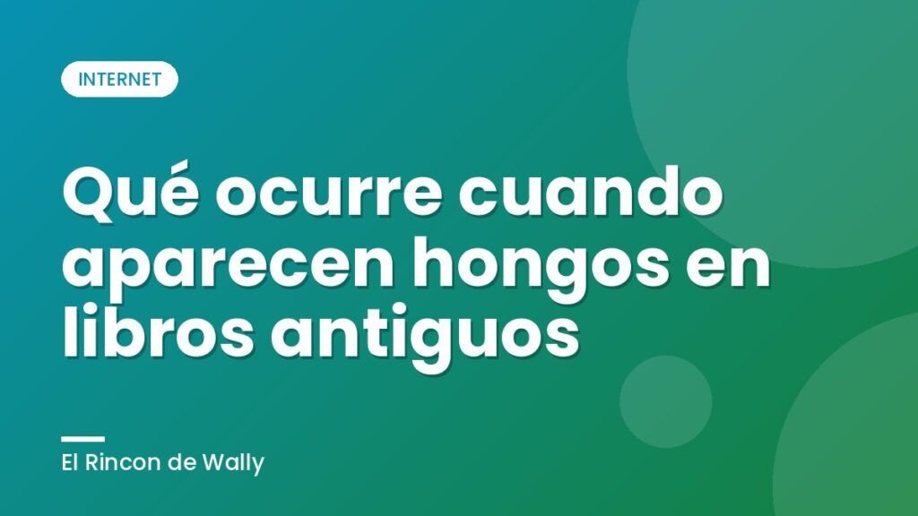 Qué ocurre cuando aparecen hongos en libros antiguos