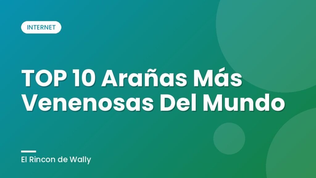 TOP 10 Arañas Más Venenosas Del Mundo
